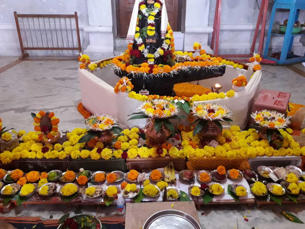 कालसर्प दोष निवारण पूजा त्र्यंबकेश्वर